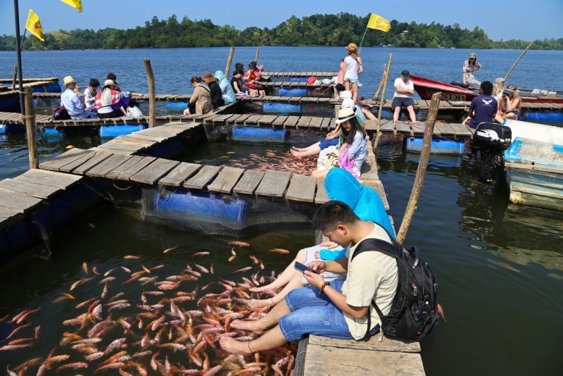 21 день по Шри-Ланке на машине