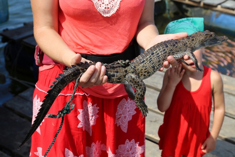 21 день по Шри-Ланке на машине