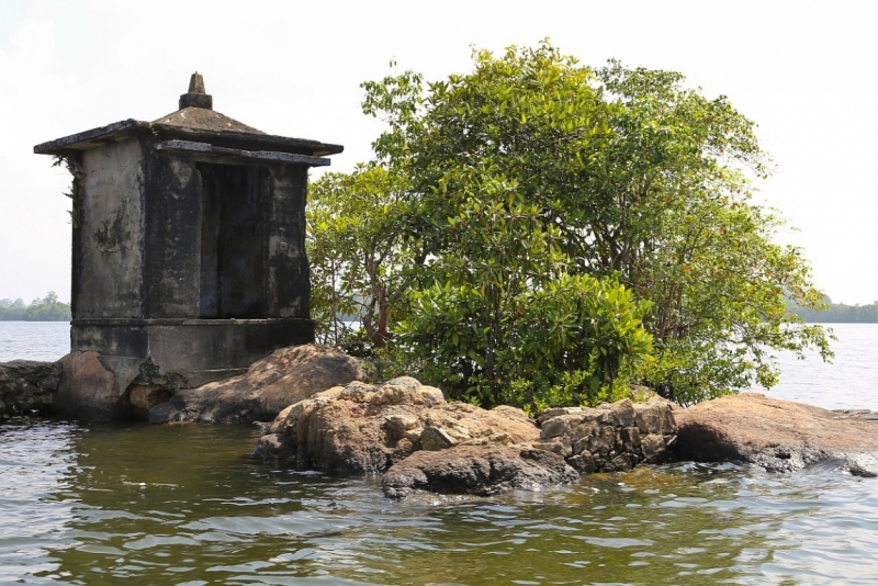 21 день по Шри-Ланке на машине