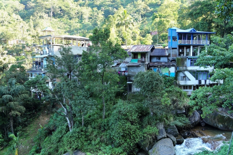 21 день по Шри-Ланке на машине