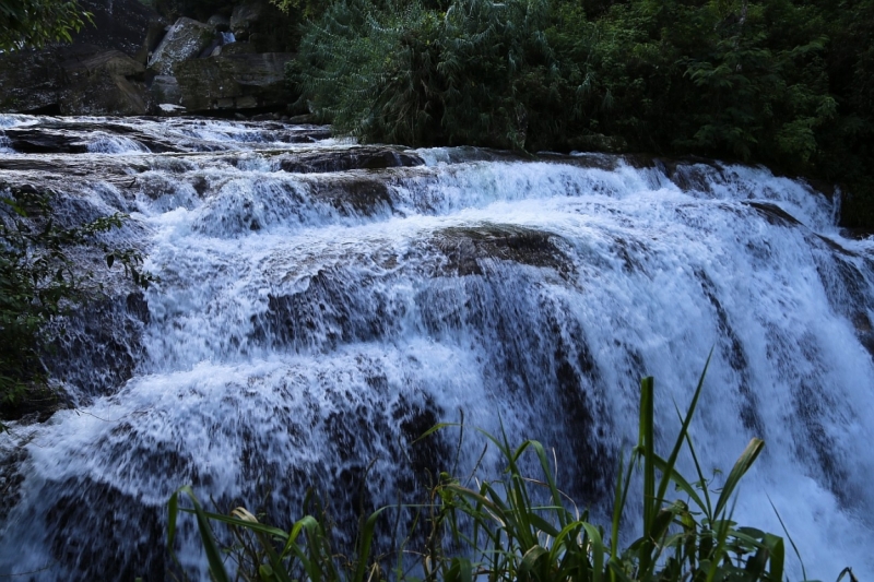 21 день по Шри-Ланке на машине