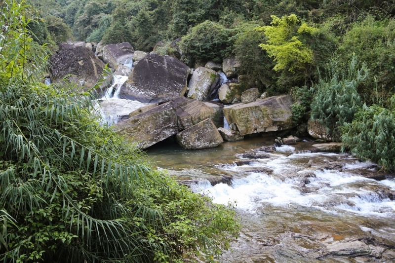 21 день по Шри-Ланке на машине