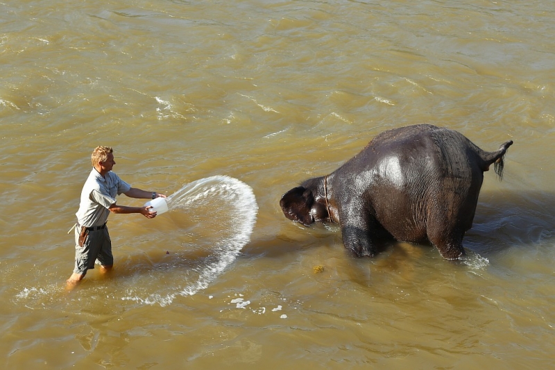 21 день по Шри-Ланке на машине