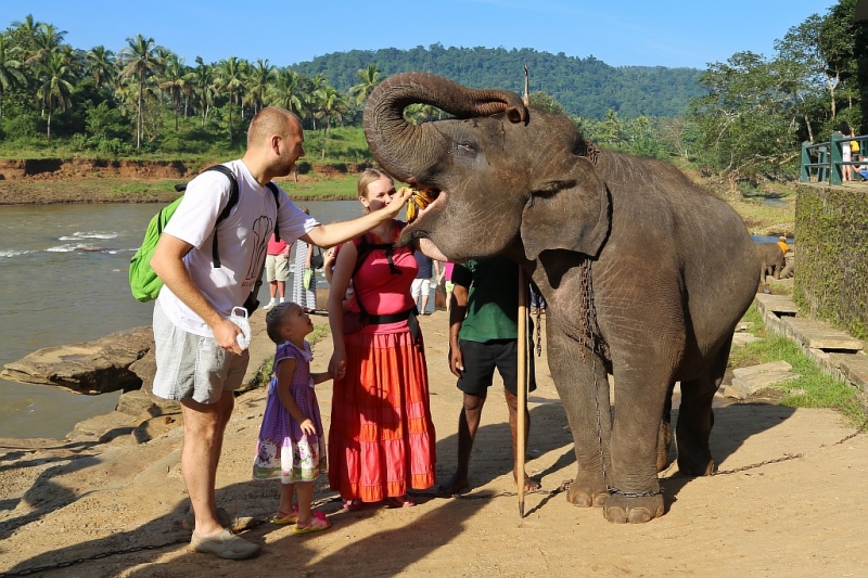 21 день по Шри-Ланке на машине