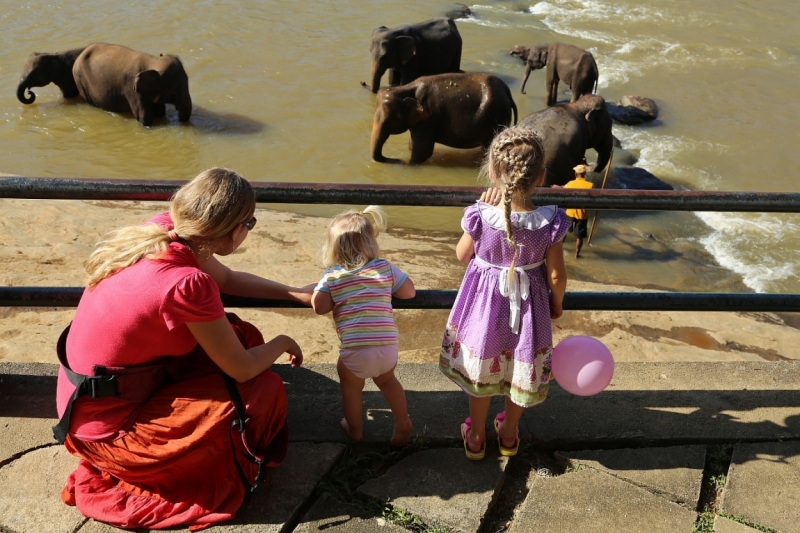 21 день по Шри-Ланке на машине