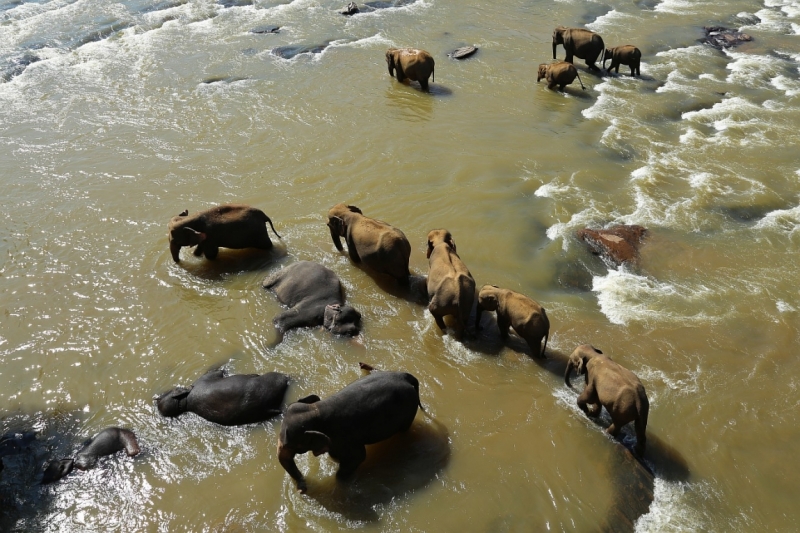 21 день по Шри-Ланке на машине