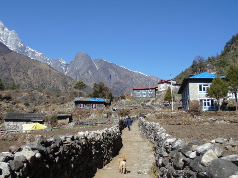 Январский трек к Эвересту. Гокио Ри за 6 дней (туда-обратно).