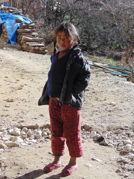 Январский трек к Эвересту. Гокио Ри за 6 дней (туда-обратно).