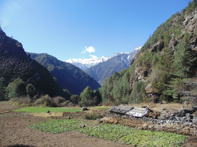 Январский трек к Эвересту. Гокио Ри за 6 дней (туда-обратно).