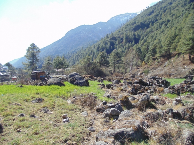 Январский трек к Эвересту. Гокио Ри за 6 дней (туда-обратно).