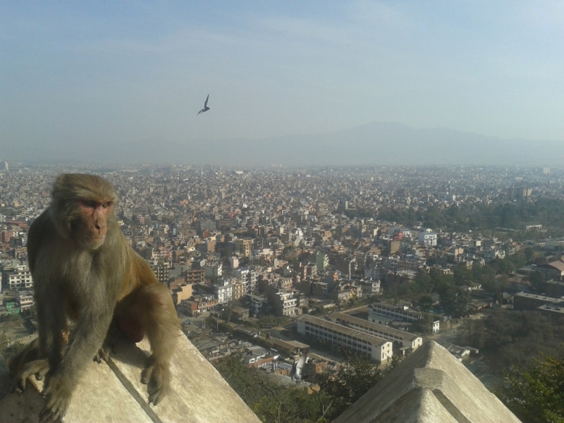 Январский трек к Эвересту. Гокио Ри за 6 дней (туда-обратно).