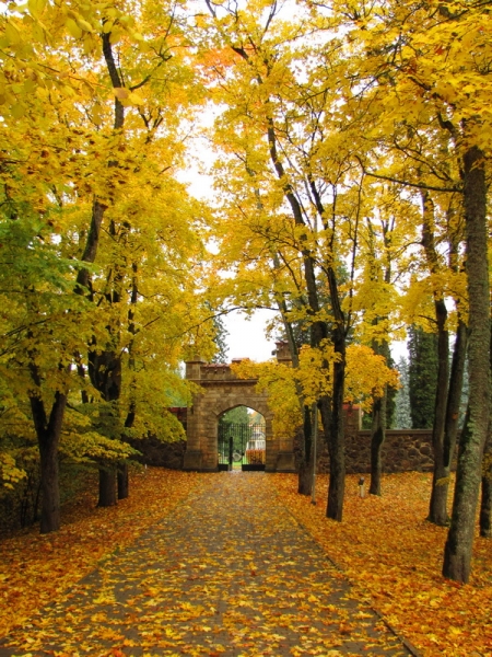 Побег в золотую осень (немного Латвии, октябрь 2013).