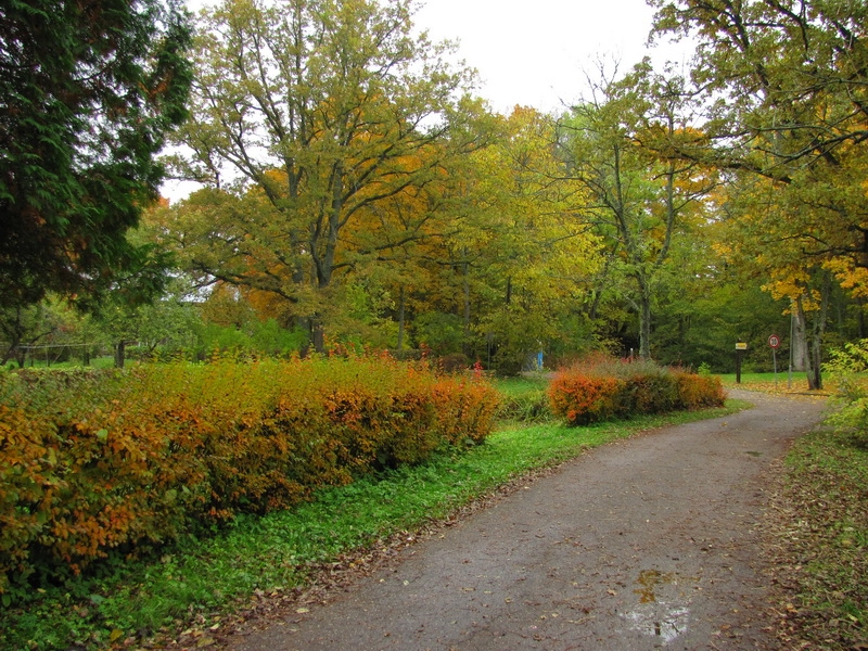 Побег в золотую осень (немного Латвии, октябрь 2013).