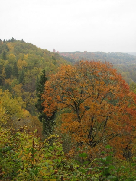 Побег в золотую осень (немного Латвии, октябрь 2013).