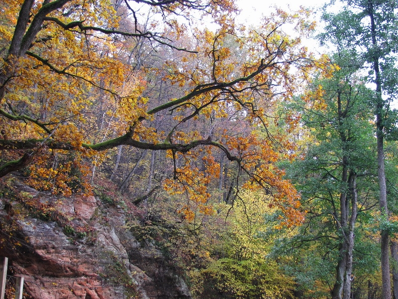 Побег в золотую осень (немного Латвии, октябрь 2013).