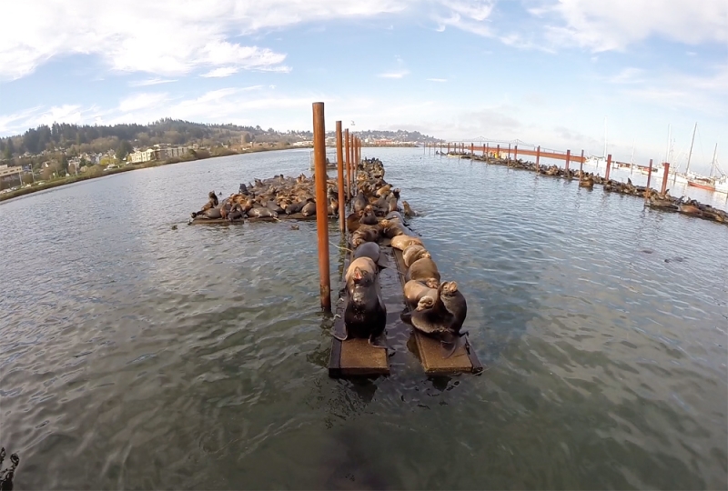 Орегон, Астория