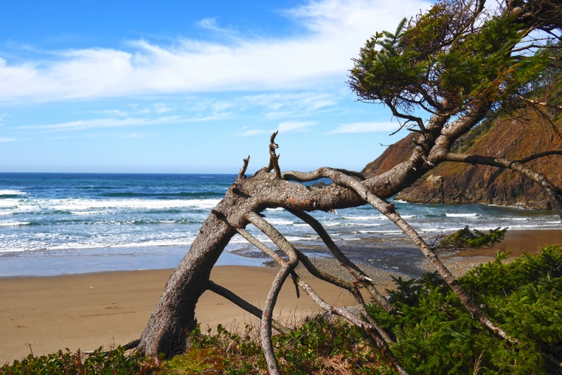 Океанское побережье штата Орегон