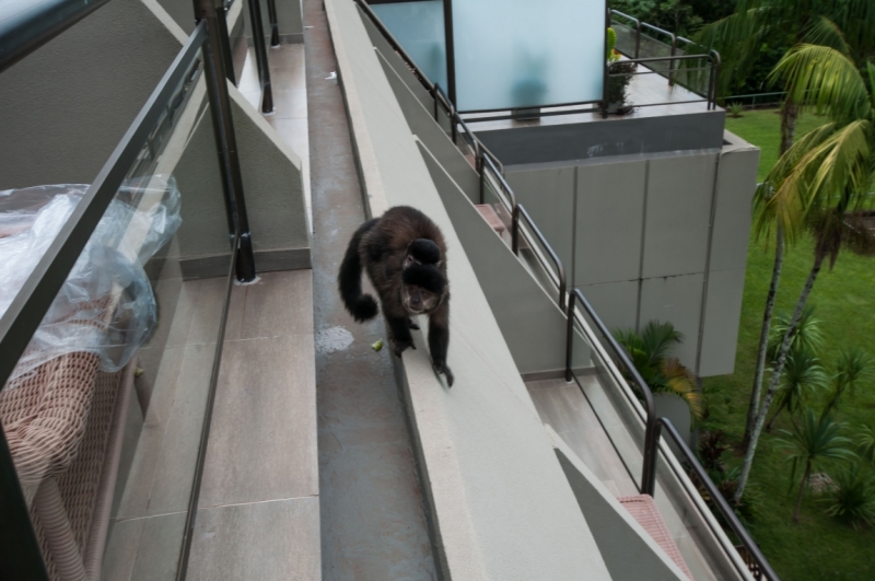 В ритме самбы по Бразилии, Перу и Боливии. Февраль-март 2015 г