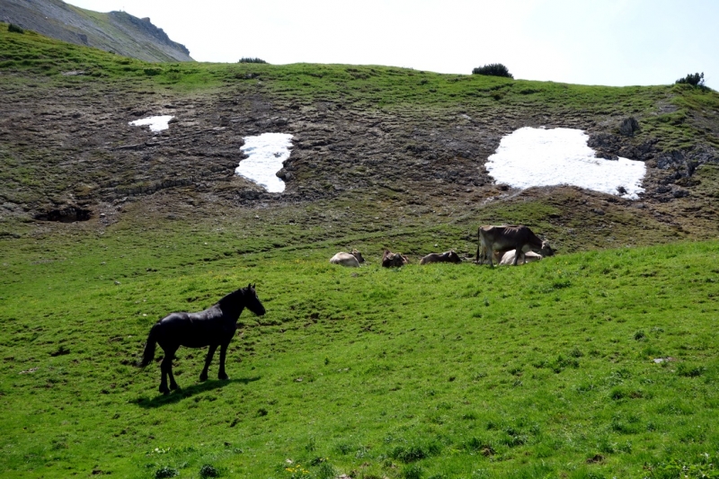 Земля Форарльберг (Bundesland Vorarlberg)