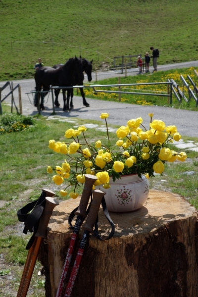 Земля Форарльберг (Bundesland Vorarlberg)