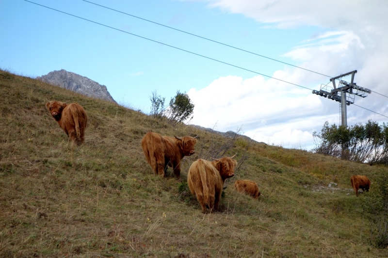 Земля Форарльберг (Bundesland Vorarlberg)