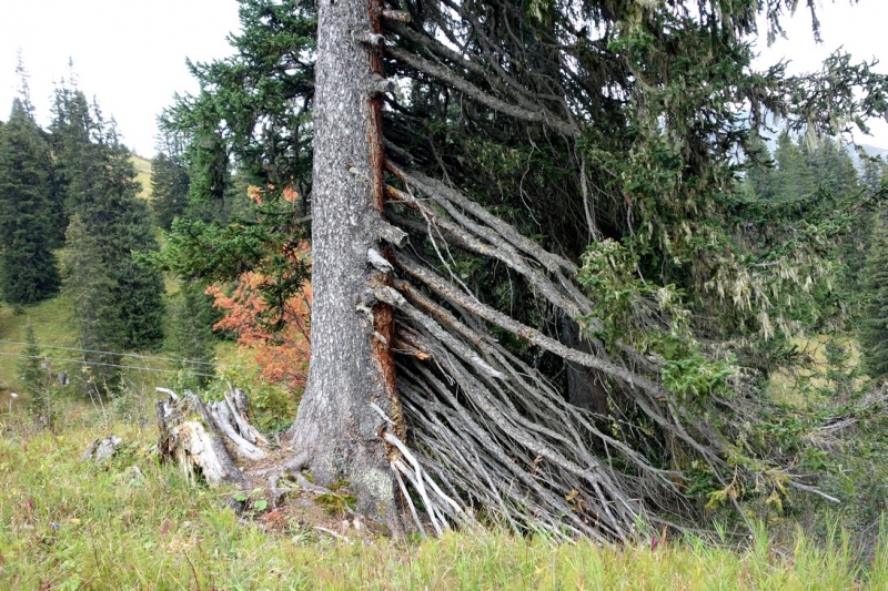 Земля Форарльберг (Bundesland Vorarlberg)