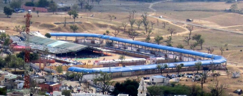 Индия (север: Варанаси, Бодхгая, Дармсала)