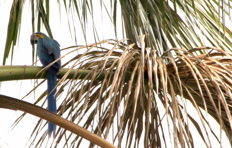 Как я купил мотоцикл в Бриджпорте, и проехал на нём по Америке.