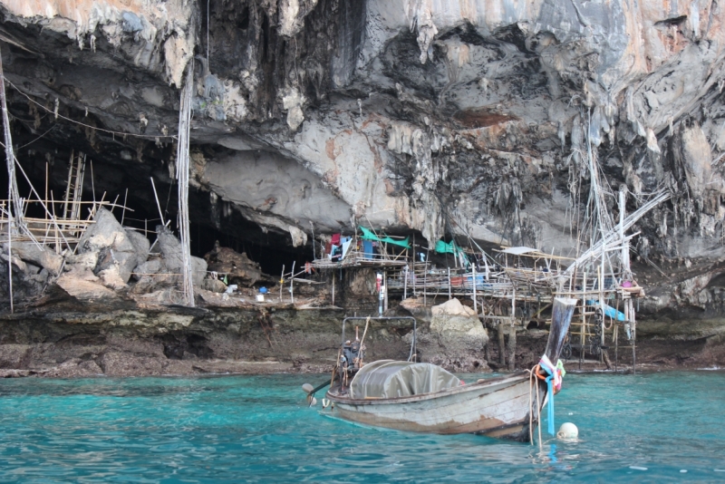 Движение к солнцу.