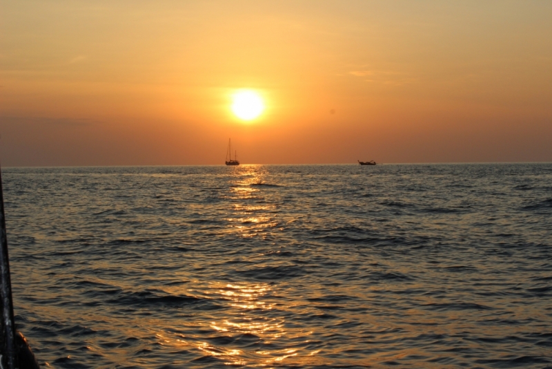 Движение к солнцу.