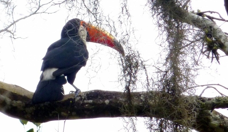 Как я купил мотоцикл в Бриджпорте, и проехал на нём по Америке.