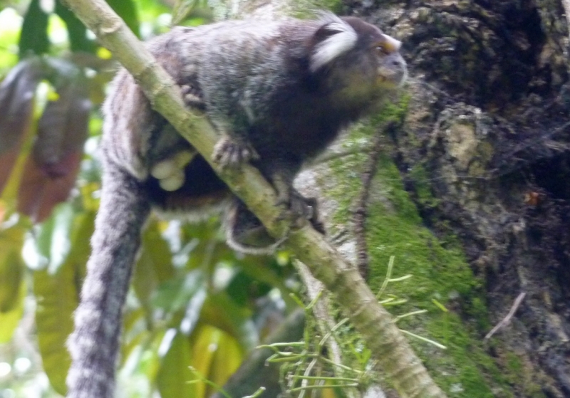 Как я купил мотоцикл в Бриджпорте, и проехал на нём по Америке.