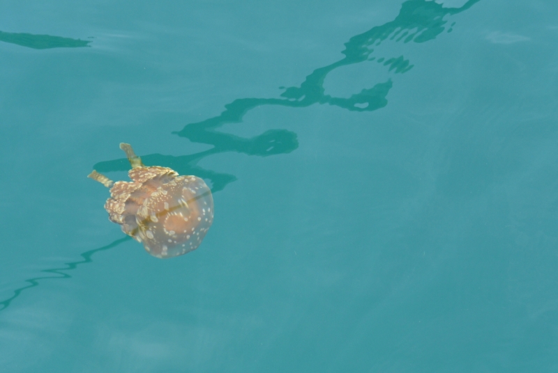 Филиппины, август, Сиаргао.