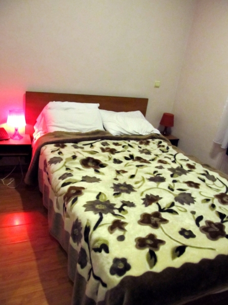 Новогодний Бенилюкс на машине