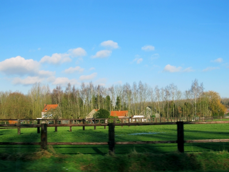 Новогодний Бенилюкс на машине