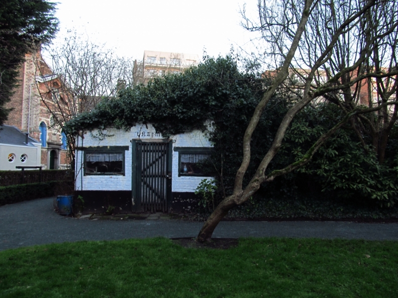 Новогодний Бенилюкс на машине