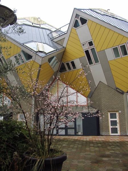 Новогодний Бенилюкс на машине