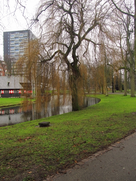 Новогодний Бенилюкс на машине