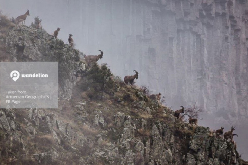 Армения, март 2015