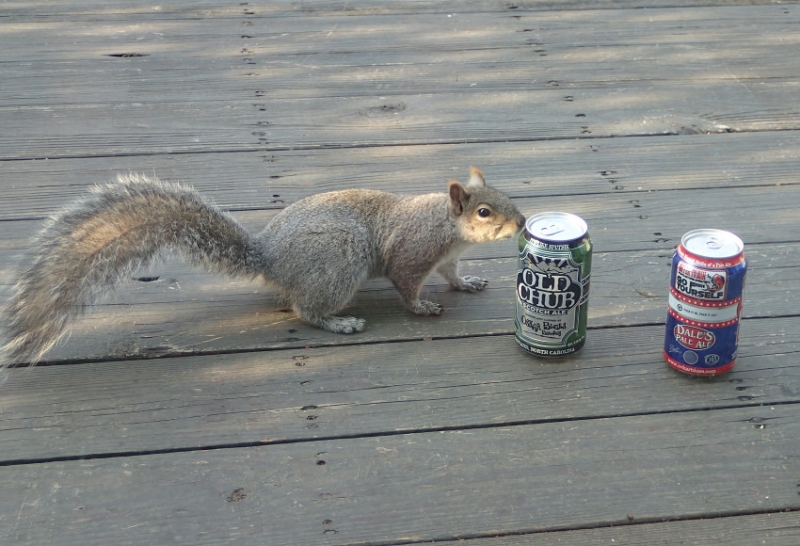 Пиво со всего мира