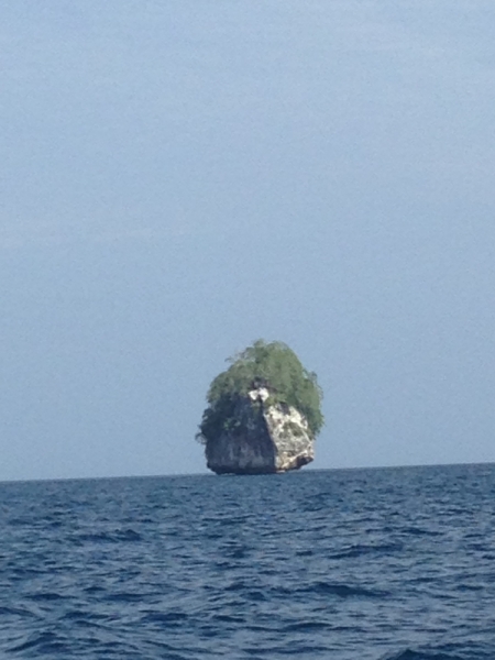 Филиппины самостоятельно январь 2015 (часть 1).