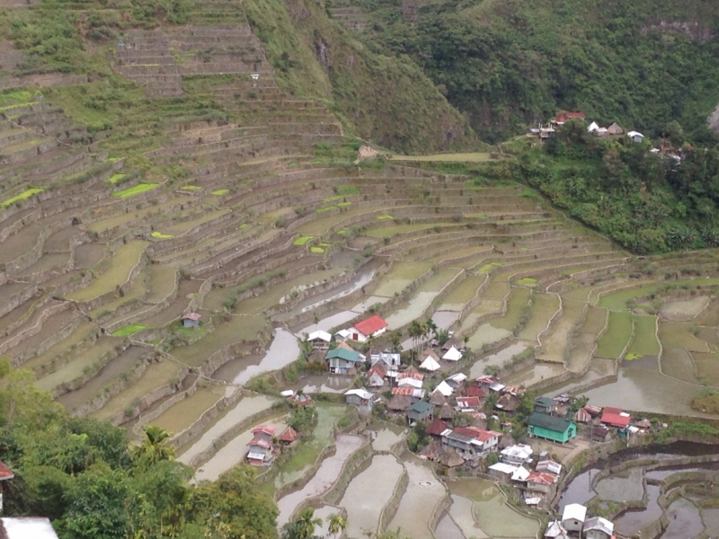 Филиппины самостоятельно январь 2015 (часть 1).