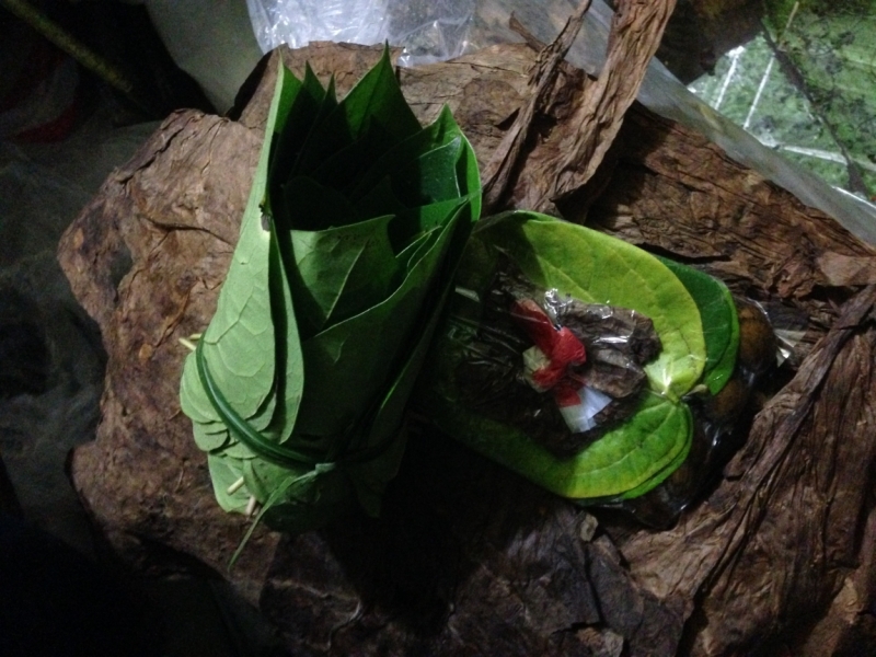 Филиппины самостоятельно январь 2015 (часть 1).