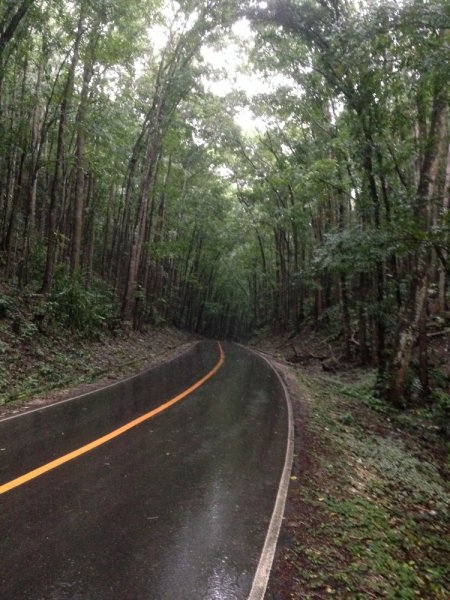 Филиппины самостоятельно январь 2015 (часть 1).