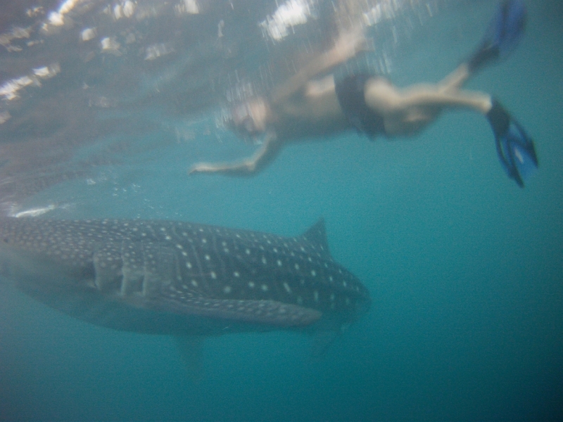 Филиппины самостоятельно январь 2015 (часть 1).