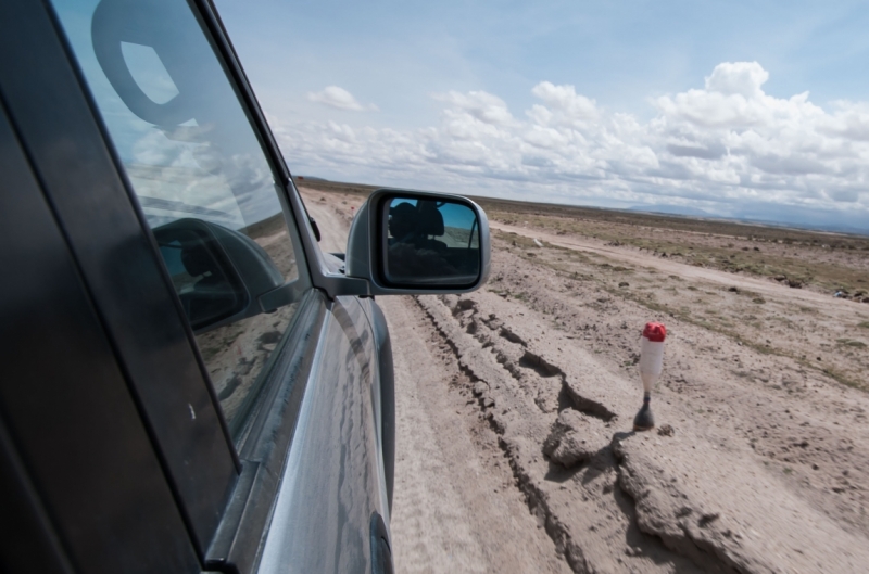 В ритме самбы по Бразилии, Перу и Боливии (продолжение)