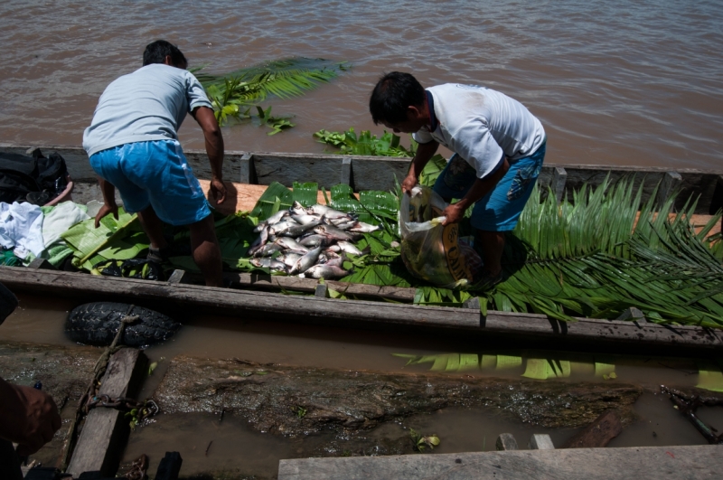 В ритме самбы по Бразилии, Перу и Боливии (продолжение)