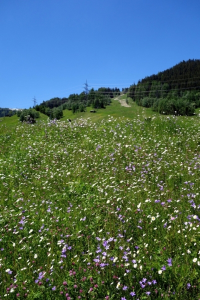 Земля Форарльберг (Bundesland Vorarlberg)