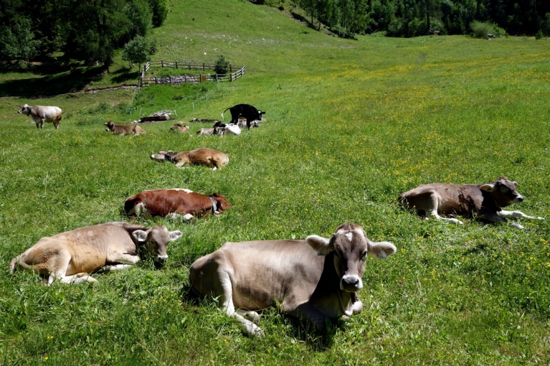 Земля Форарльберг (Bundesland Vorarlberg)