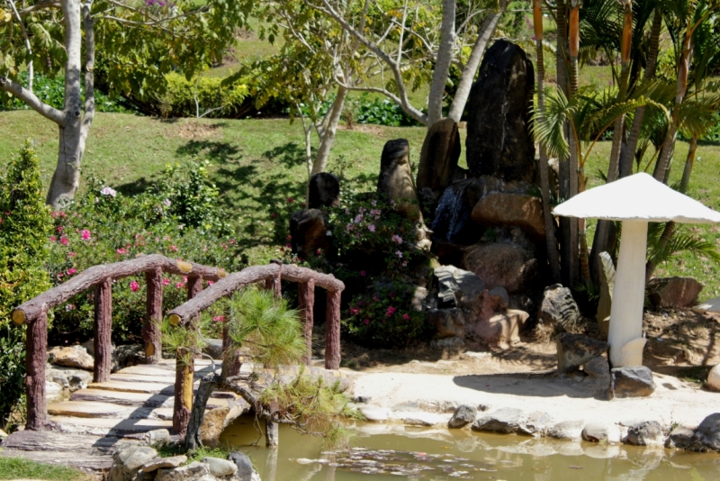 Наши открытия во Вьетнаме (будет много фото)